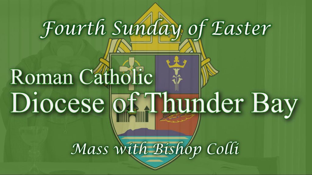 Forth Sunday of Easter - Mass with Bishop Colli